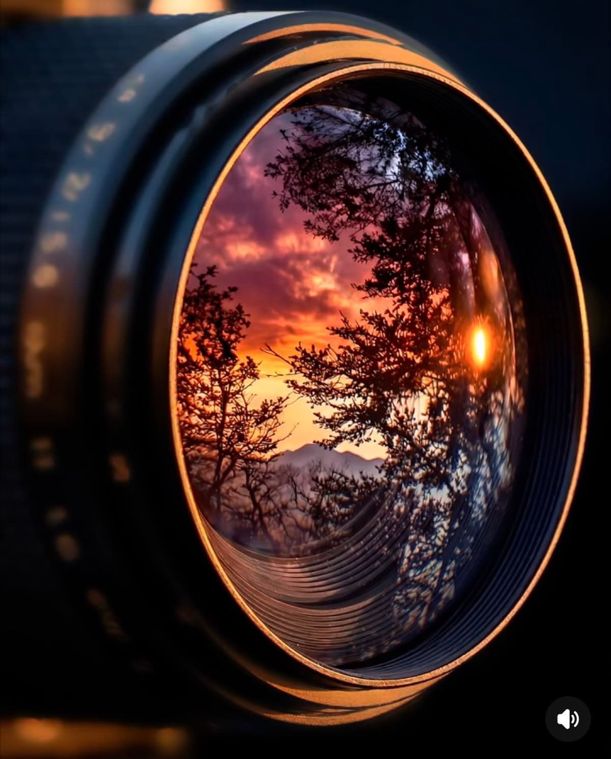 Photography Basics Workshop — фото 1